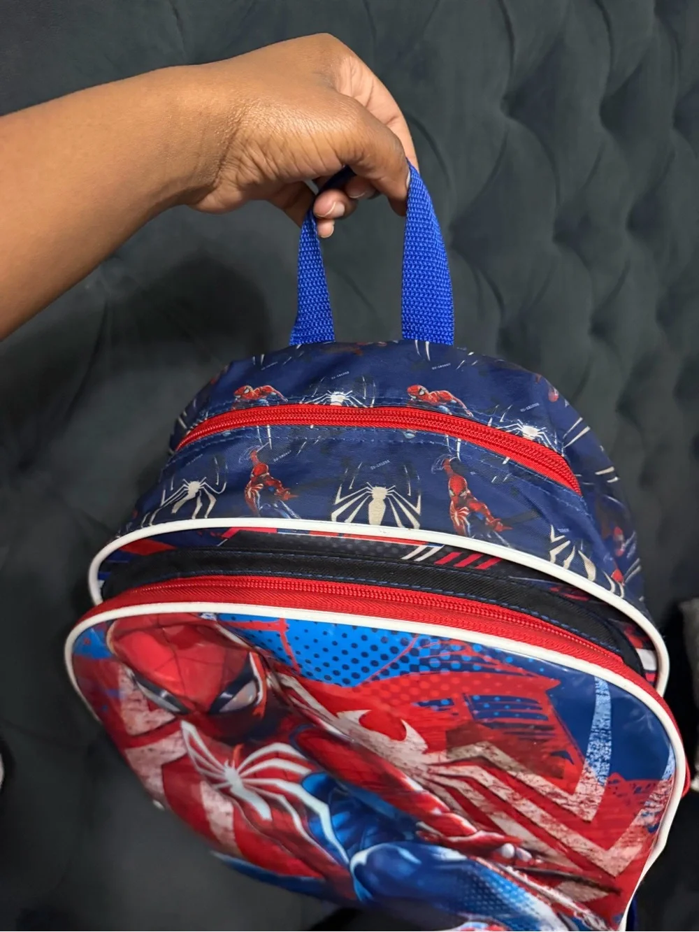 Spider-Man Graphic Kids Backpack - Red/Blue